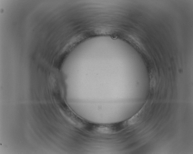 X0000062840171200601272025