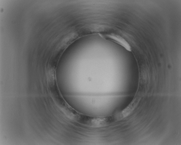 X0000062840172200601272025