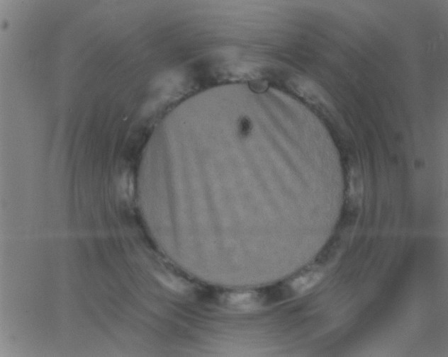 X0000062840173200601272025