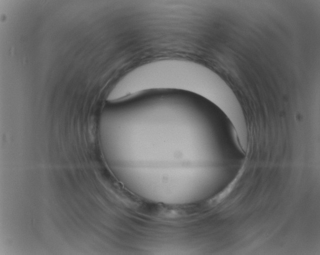 X0000062840174200601272025