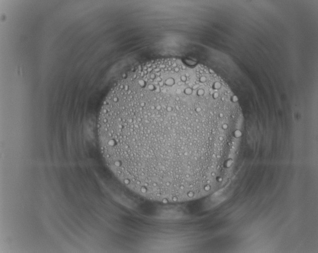 X0000062840175200601272025