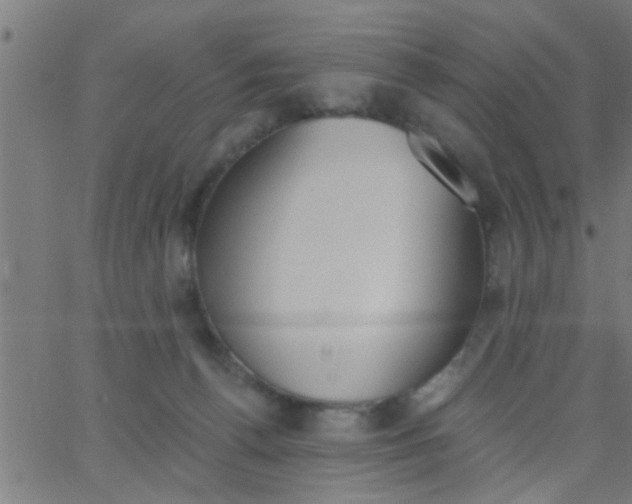 X0000062840176200601272025