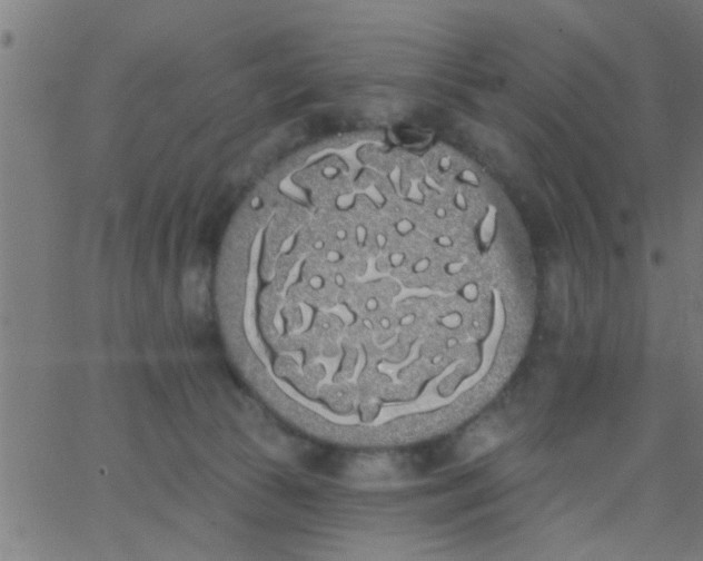 X0000062840177200601272025