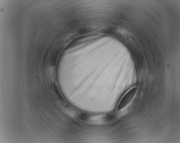 X0000062840178200601272025