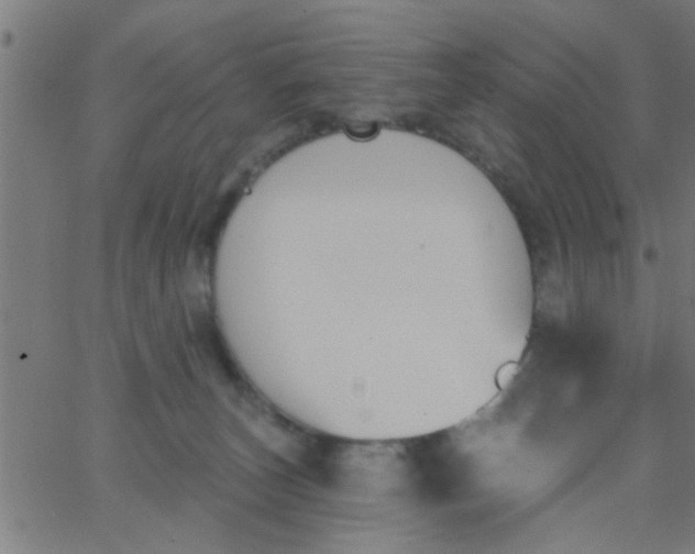 X0000062840179200601272025