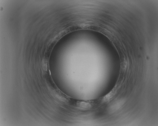 X0000062840180200601272025