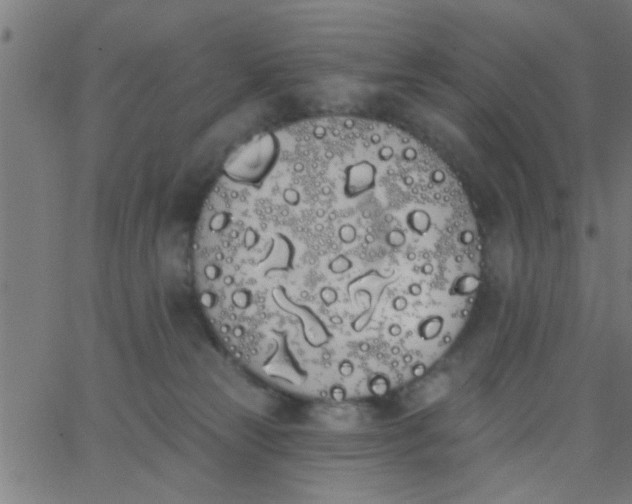 X0000062840181200601272025