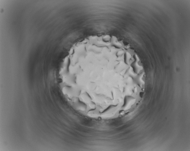 X0000062840182200601272025