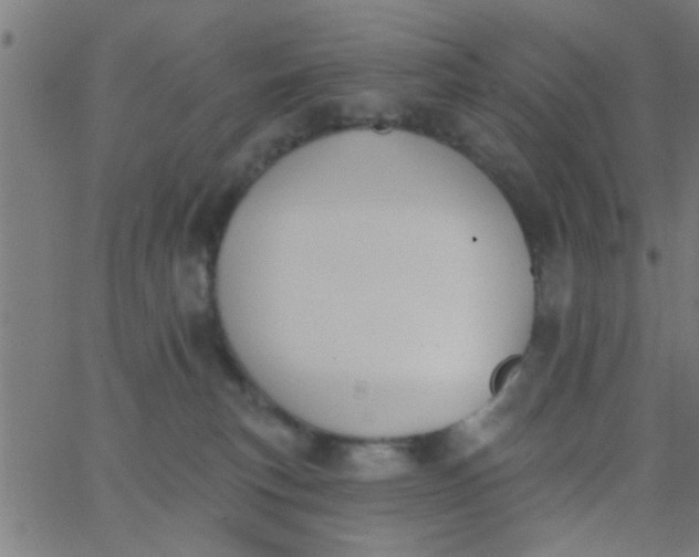 X0000062840183200601272025