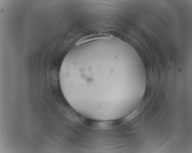 X0000062840184200601272025