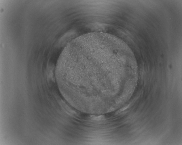 X0000062840185200601272025