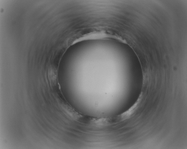 X0000062840186200601272025