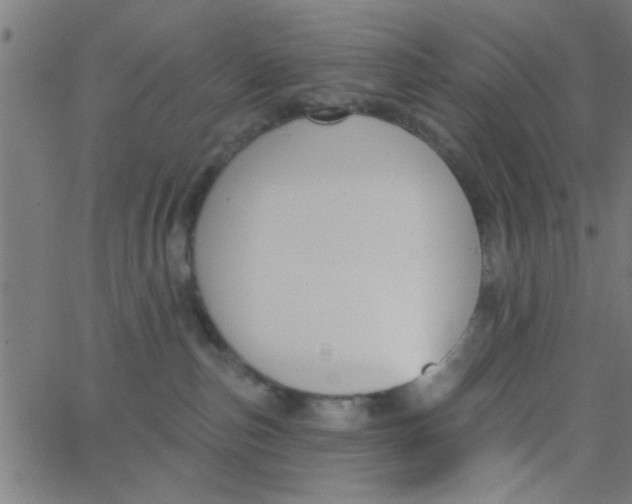 X0000062840187200601272025