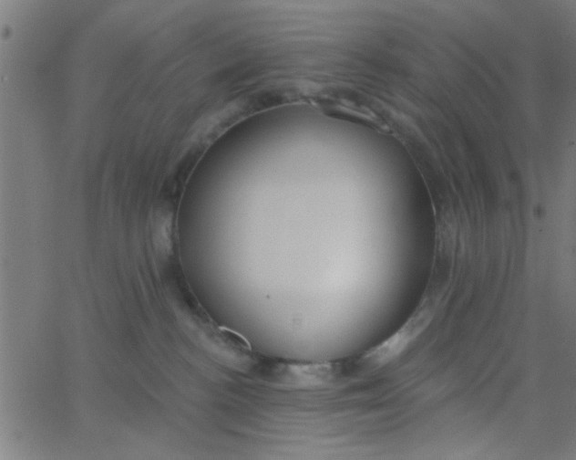 X0000062840188200601272025