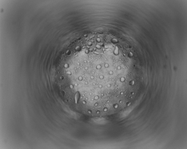 X0000062840189200601272025