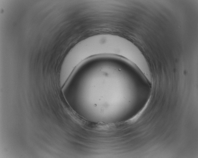 X0000062840190200601272025