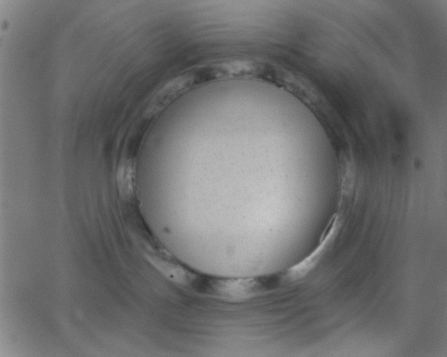 X0000062840191200601272025