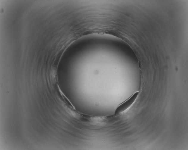 X0000062840192200601272025