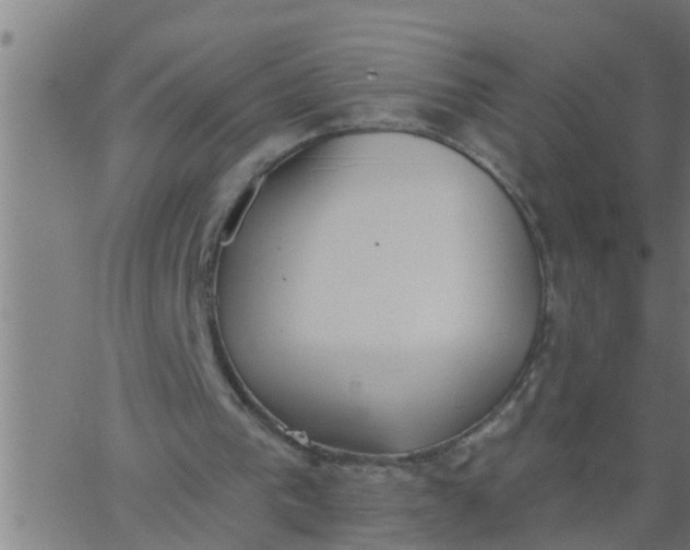 X0000062840193200601272025