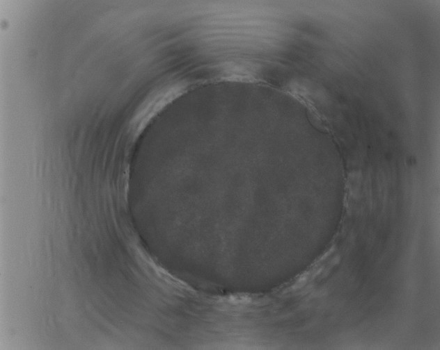 X0000062840194200601272025