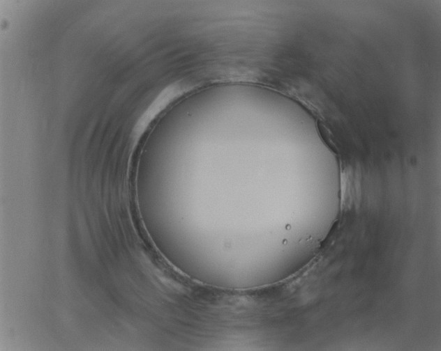 X0000062840195200601272025