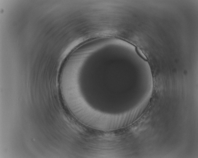 X0000062840196200601272025