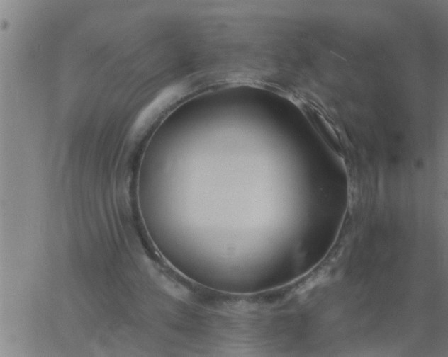 X0000062840197200601272025