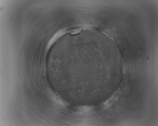 X0000062840198200601272025