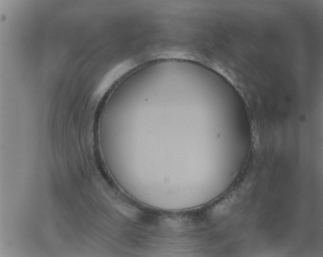 X0000062840199200601272025