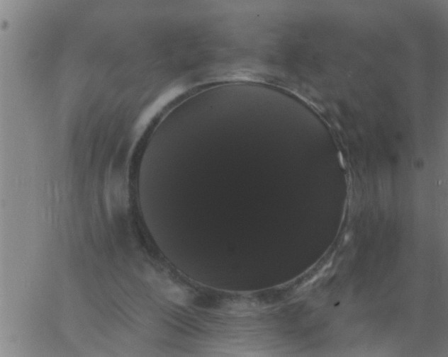 X0000062840200200601272025