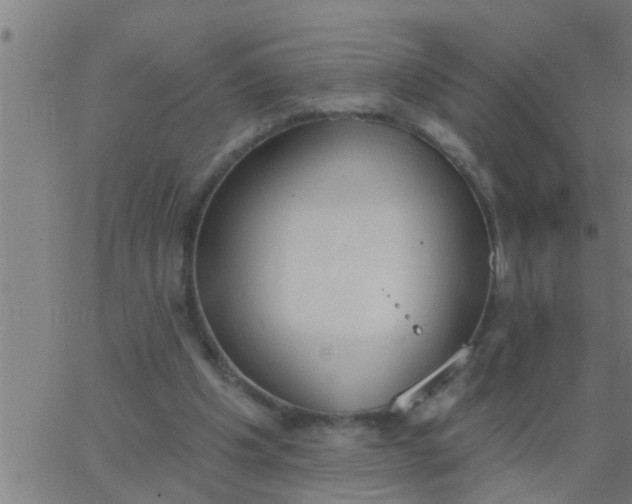 X0000062840201200601272025