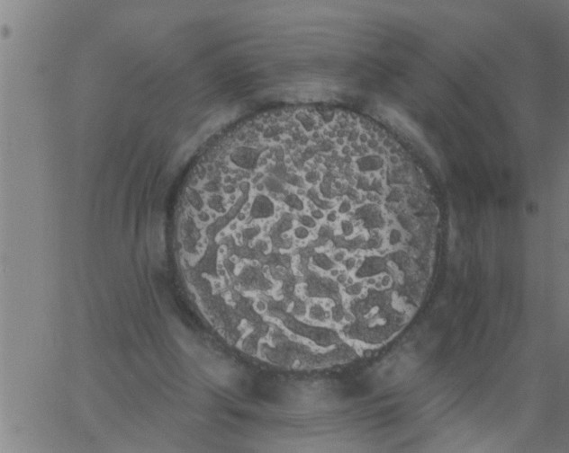 X0000062840202200601272025