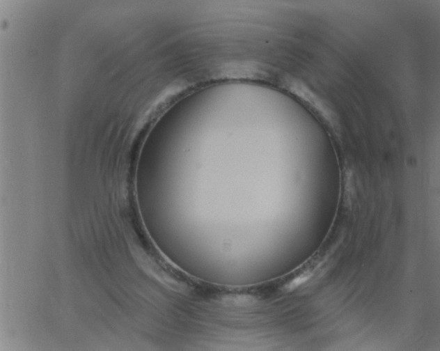 X0000062840203200601272025