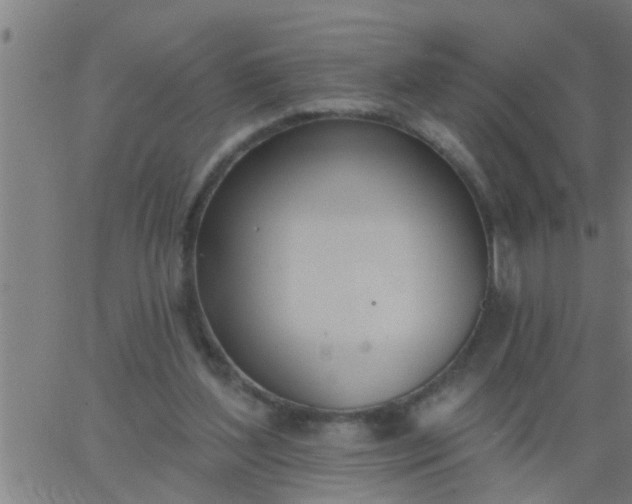 X0000062840204200601272024