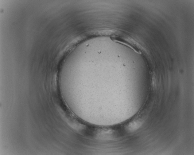 X0000062840206200601272024