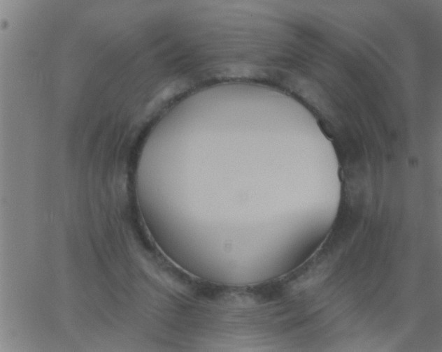 X0000062840207200601272024