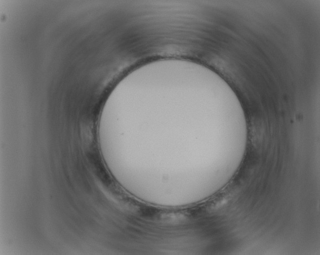 X0000062840208200601272024