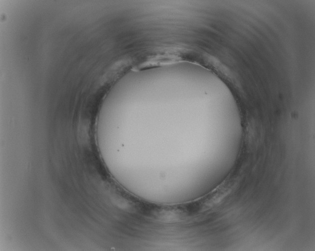 X0000062840209200601272024