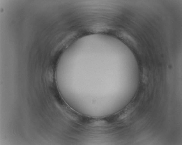 X0000062840210200601272024