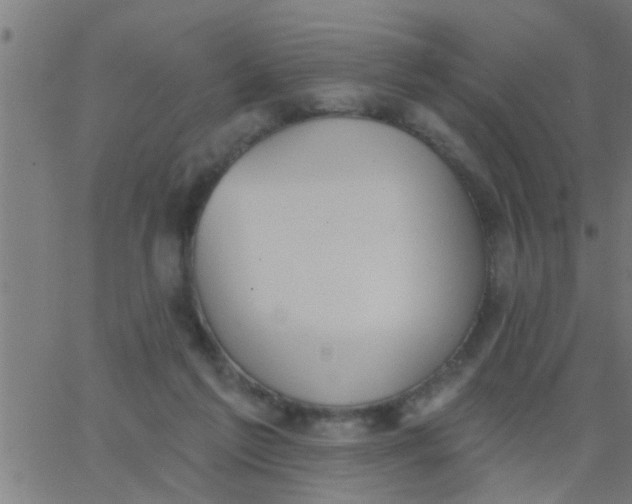 X0000062840213200601272024