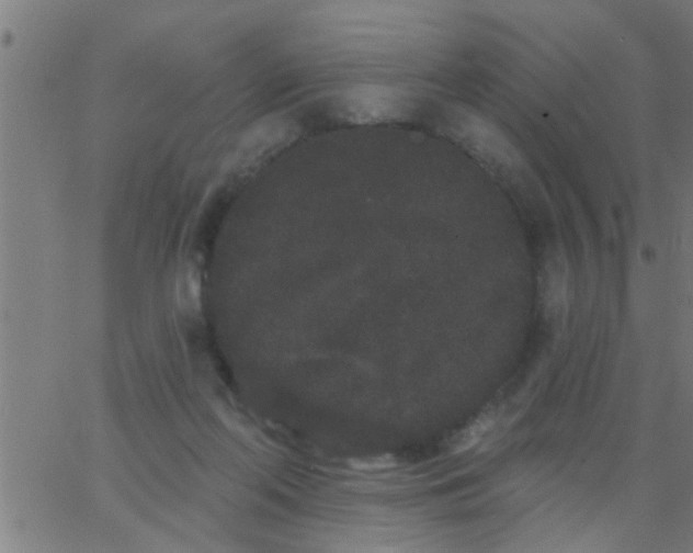 X0000062840214200601272024