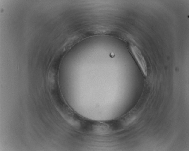 X0000062840215200601272024