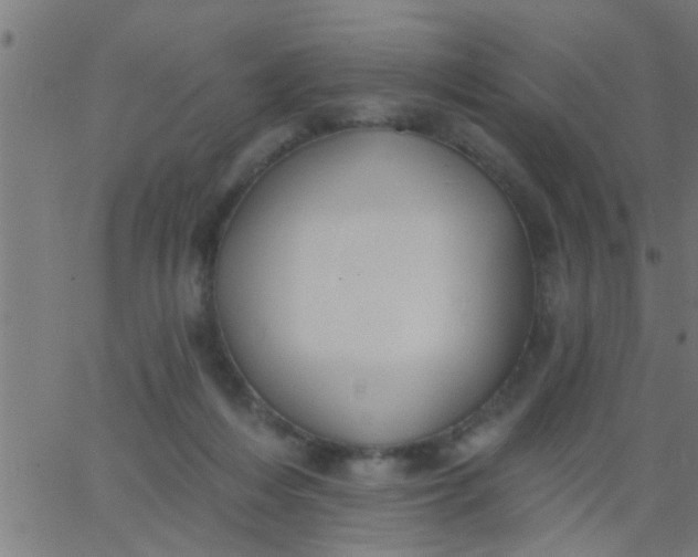 X0000062840216200601272024