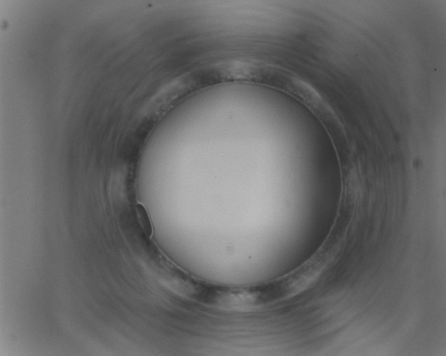 X0000062840217200601272024