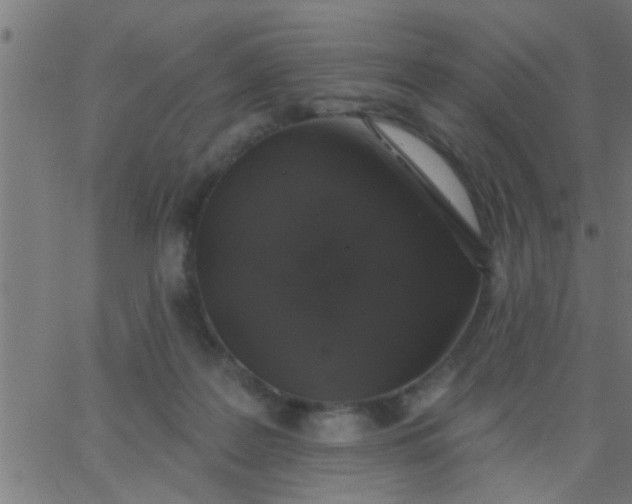 X0000062840219200601272024