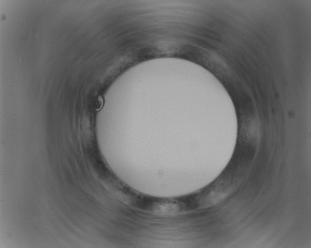 X0000062840220200601272024