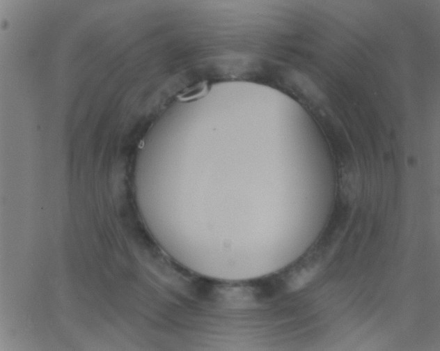 X0000062840221200601272024