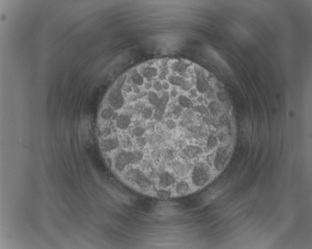 X0000062840222200601272024