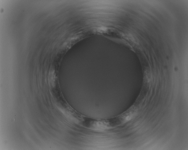 X0000062840223200601272024