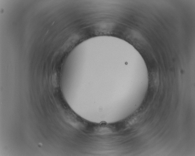 X0000062840224200601272024